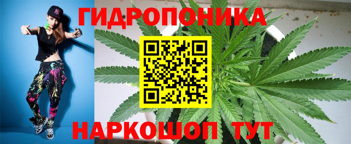 Марихуана сатива Киреевск